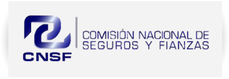 Comisión Nacional de Seguros y Finanzas